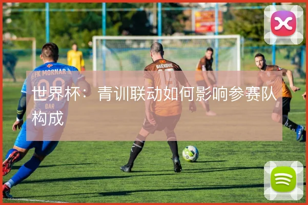 世界杯：青训联动如何影响参赛队构成