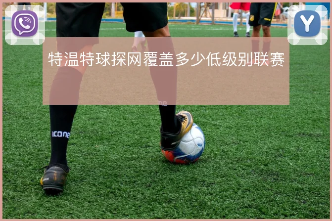 特温特球探网覆盖多少低级别联赛
