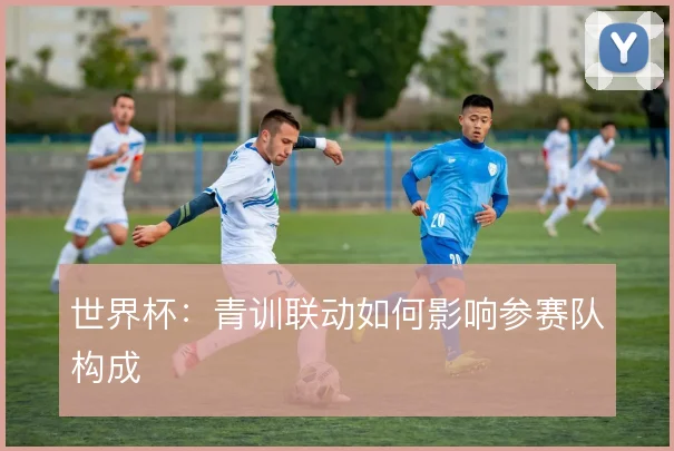 世界杯:青训联动如何影响参赛队构成