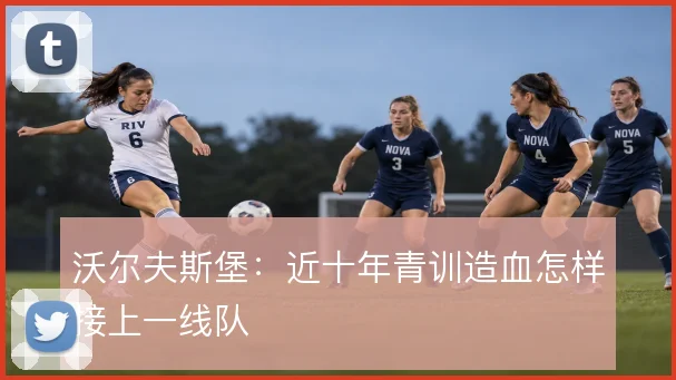 沃尔夫斯堡:近十年青训造血怎样接上一线队